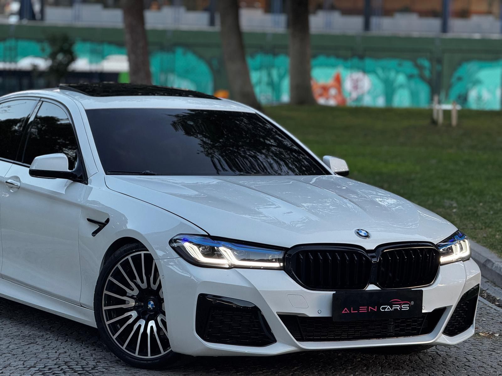 BMW 5.20 D fotoğrafı 4